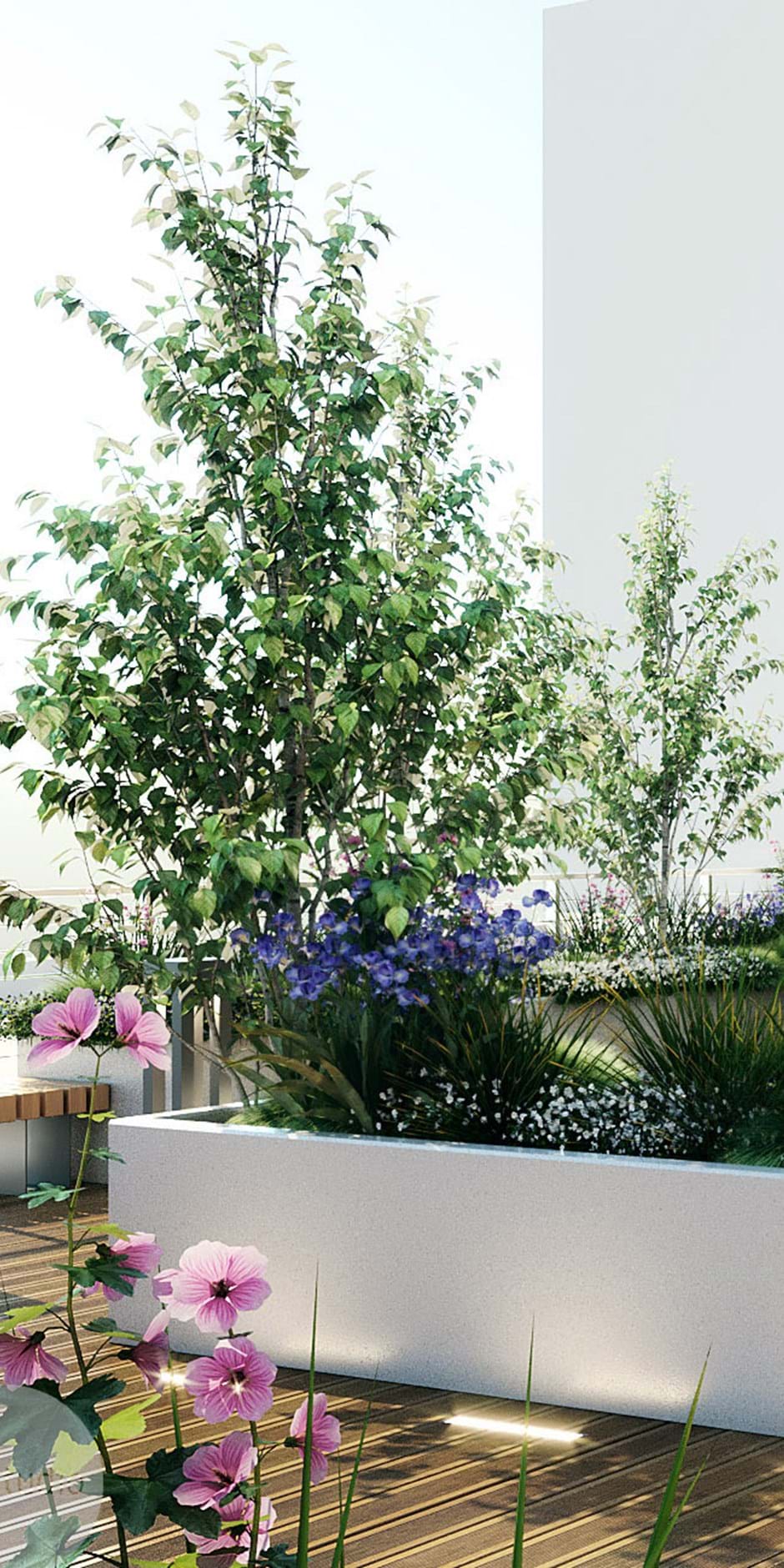 Garden2